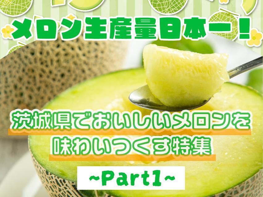 メロン生産量日本一!茨城県でおいしいメロンを味わいつくす特集~Part.1~