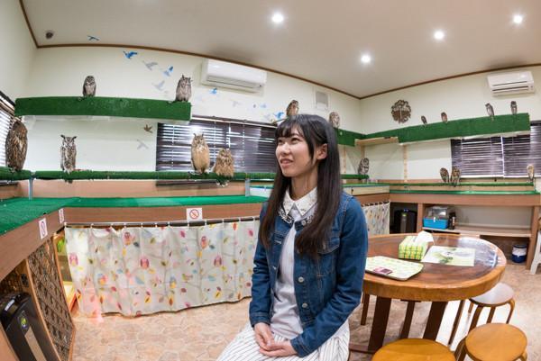 茨城 動物 アニマル ふくろうの家