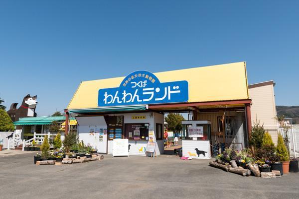 茨城 動物 アニマル わんわんランド