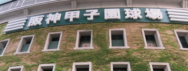 目指せ甲子園！全国高校野球選手権 茨城大会 注目の7校