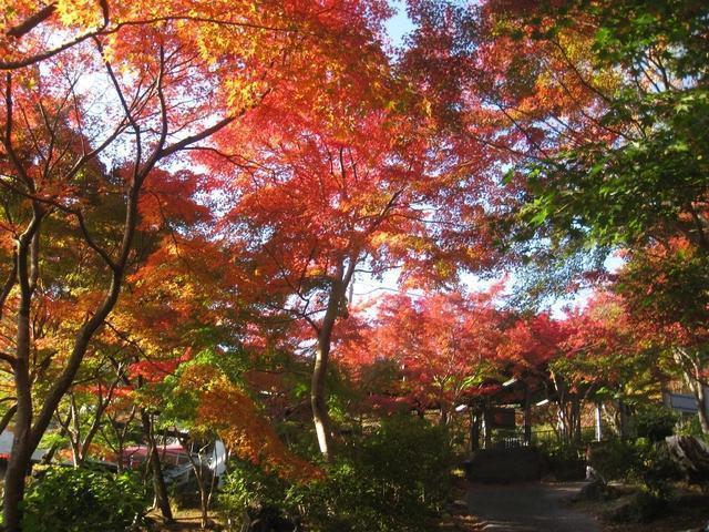 茨城 紅葉 筑波山神社