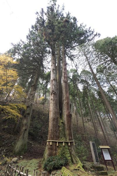 御岩神社