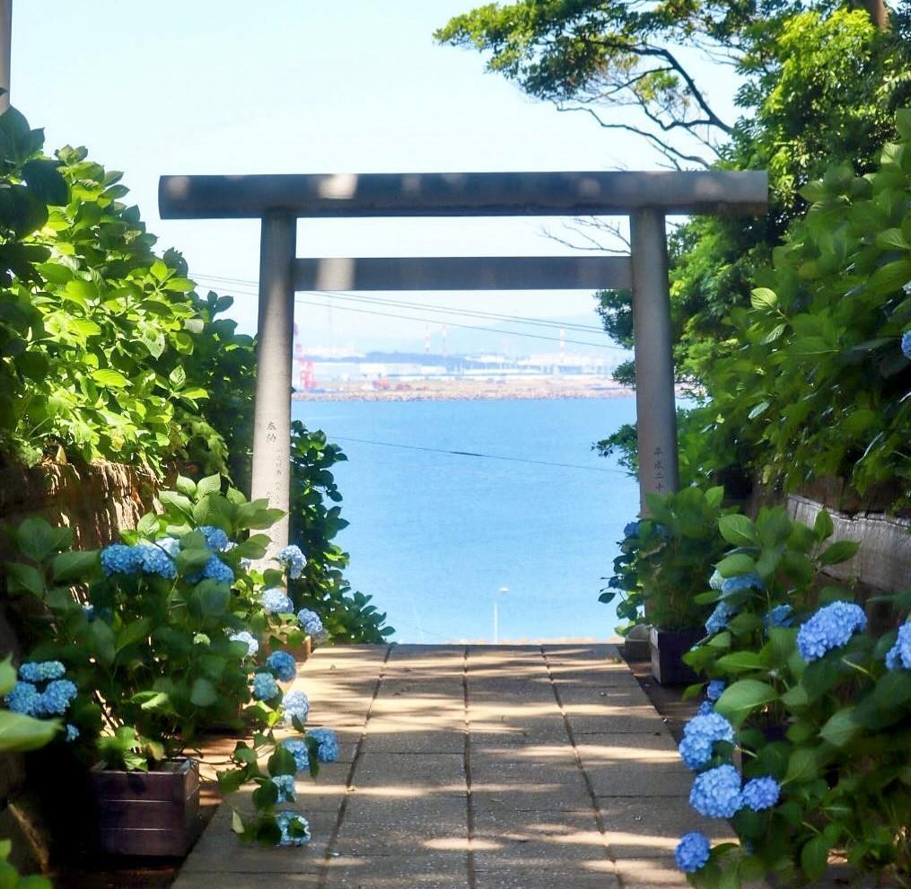 酒列磯前神社（ひたちなか市）
紫陽花と緑の参道が迎える海辺の社