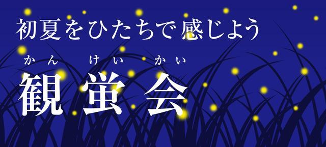初夏を感じる観蛍会 日立市のホタル観察スポット