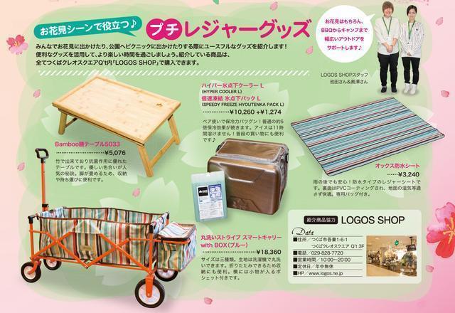 お花見 つくば市 公園 お花見グッズ