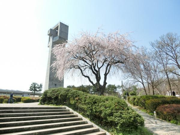 松見公園(つくば市天久保)つくば市 公園 お花見