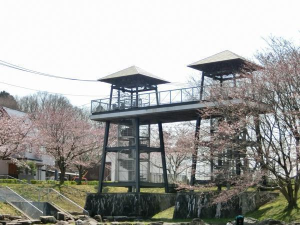 反町の森公園(つくば市桜)つくば市 公園 お花見