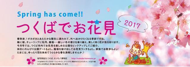 つくばでお花見にオススメの公園5選