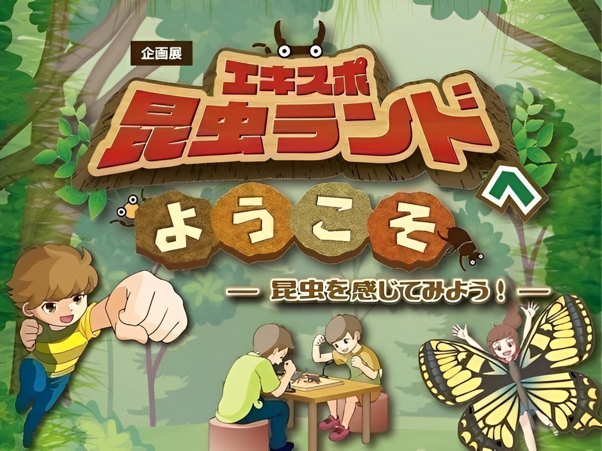 企画展-エキスポ昆虫ランドへようこそ~昆虫を感じてみよう!