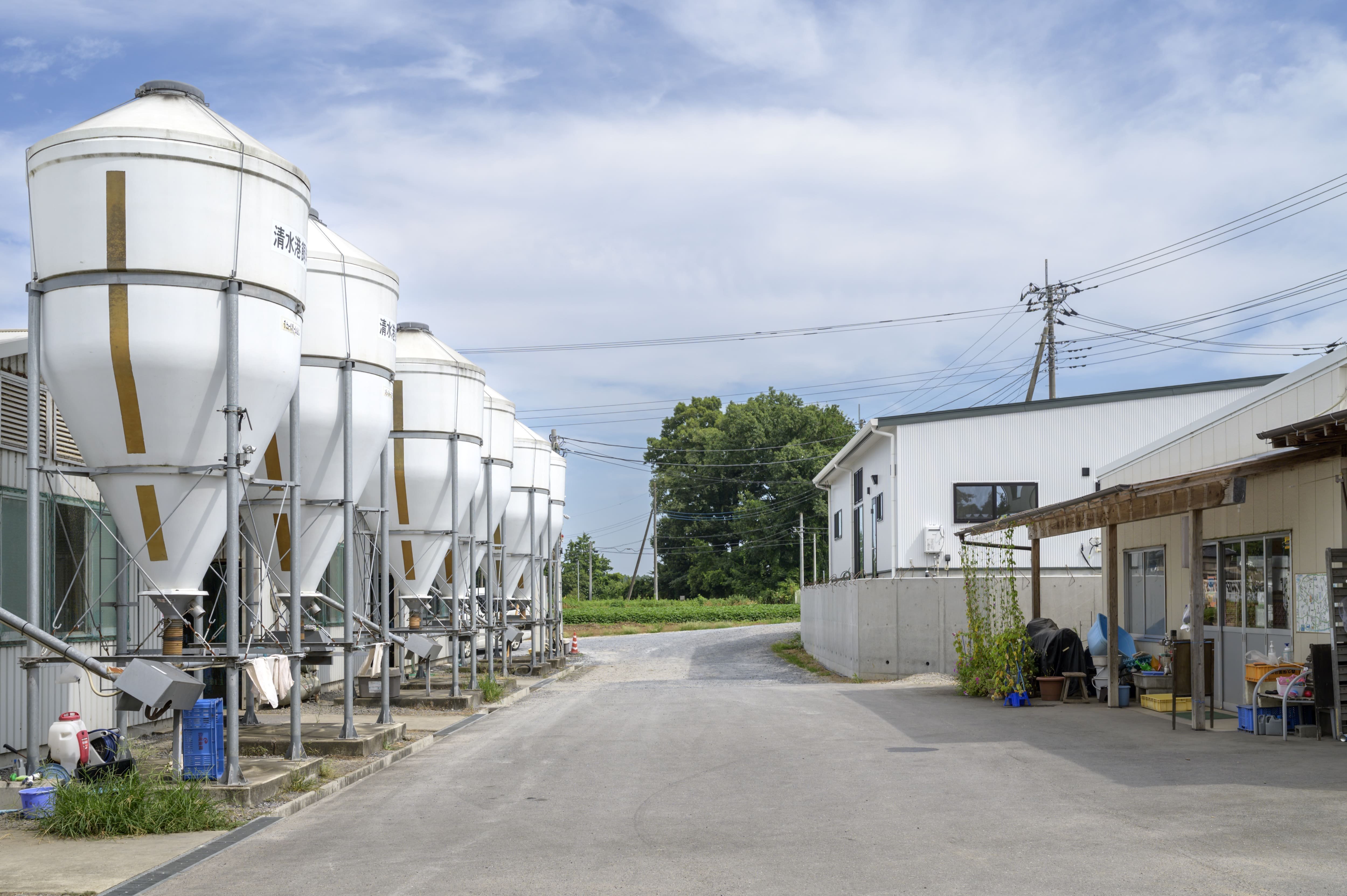 石川養鶏外観(小美玉市)