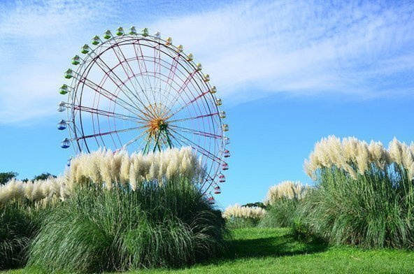 国営ひたち海浜公園