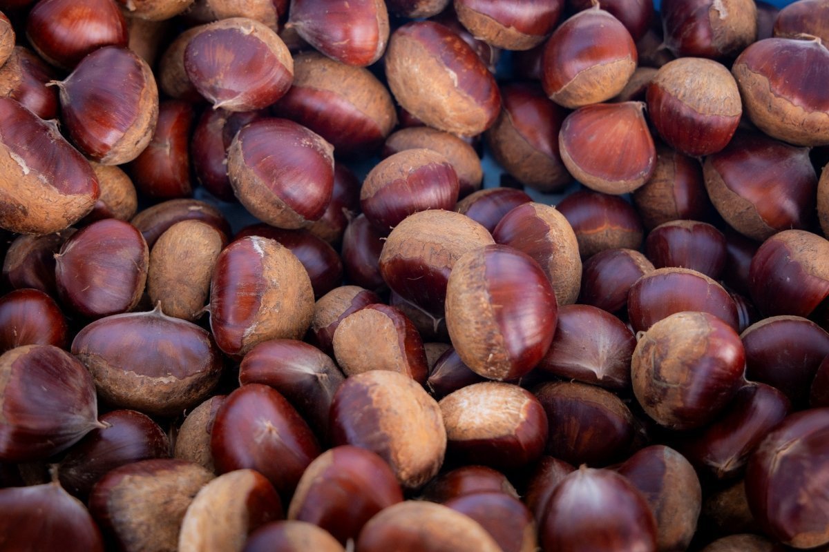 笠間栗｜いわまの栗や 小田喜商店（笠間市）