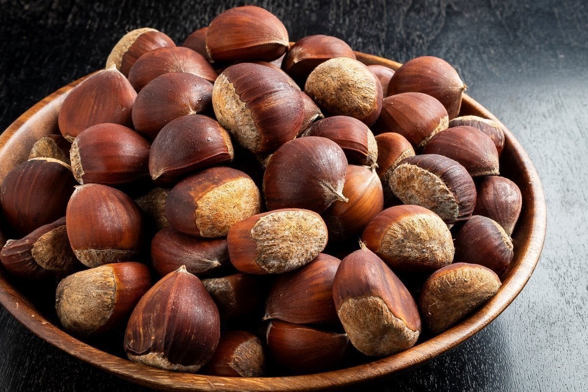 栗の写真｜ショコロンファーム(かすみがうら市)