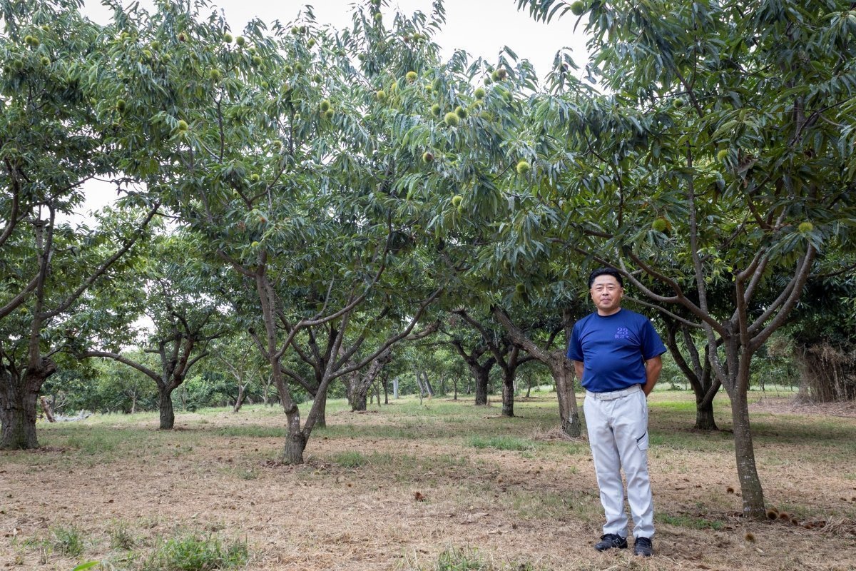 東ヶ﨑竜男さん｜下飯沼栗生産販売組合（茨城町）