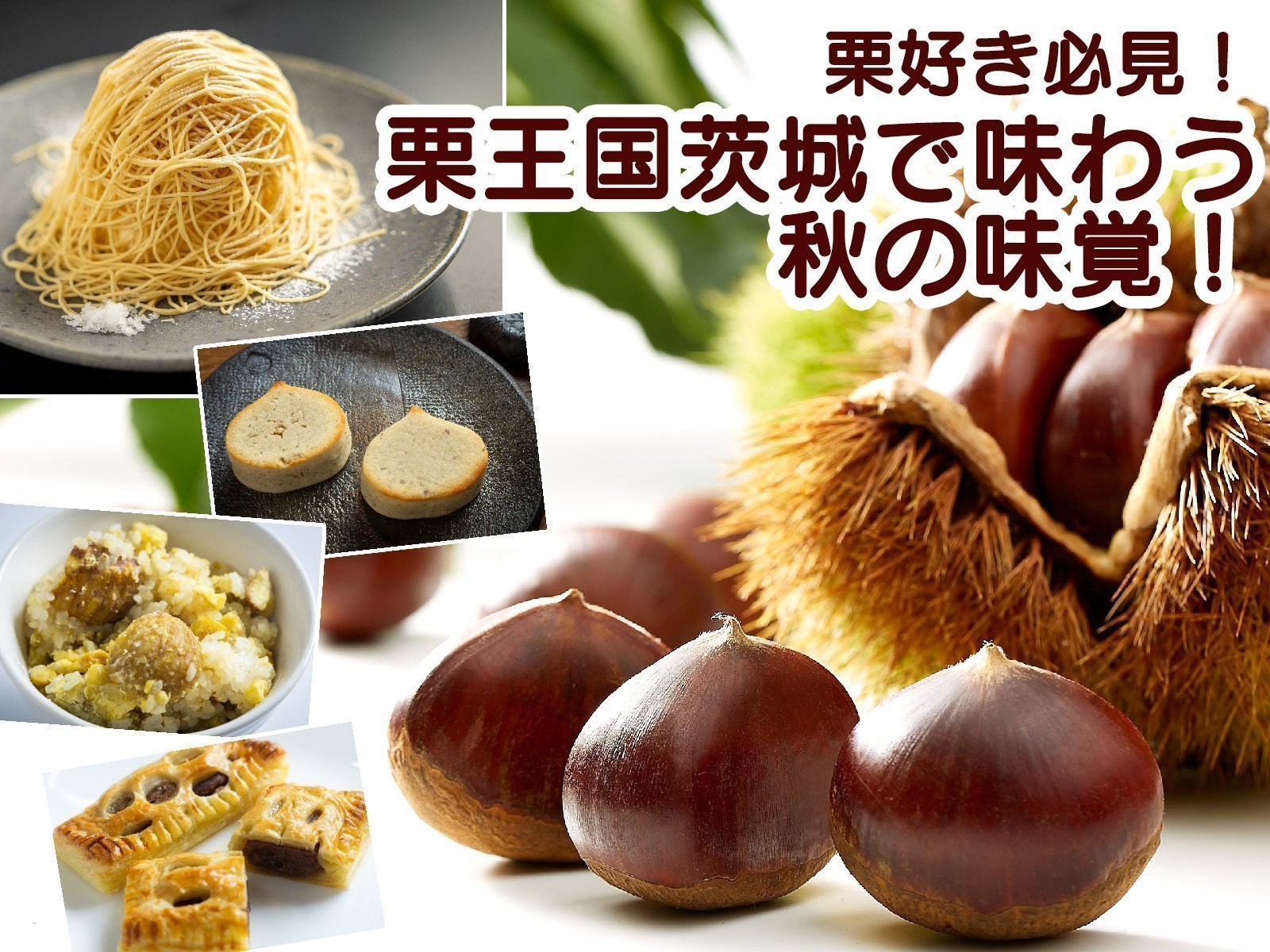 栗好き必見！栗王国茨城で味わう秋の味覚！