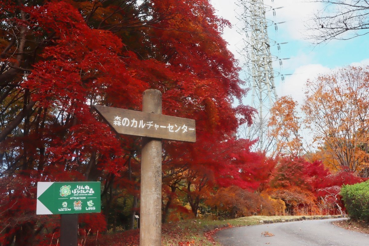 りんね・ぼうけんの森　看板　紅葉