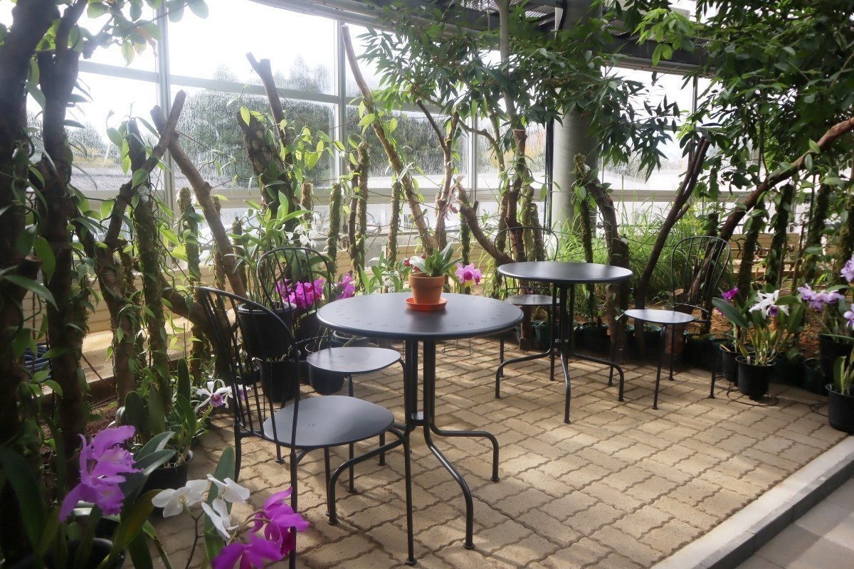 熱帯植物館 ベンチで休憩可能