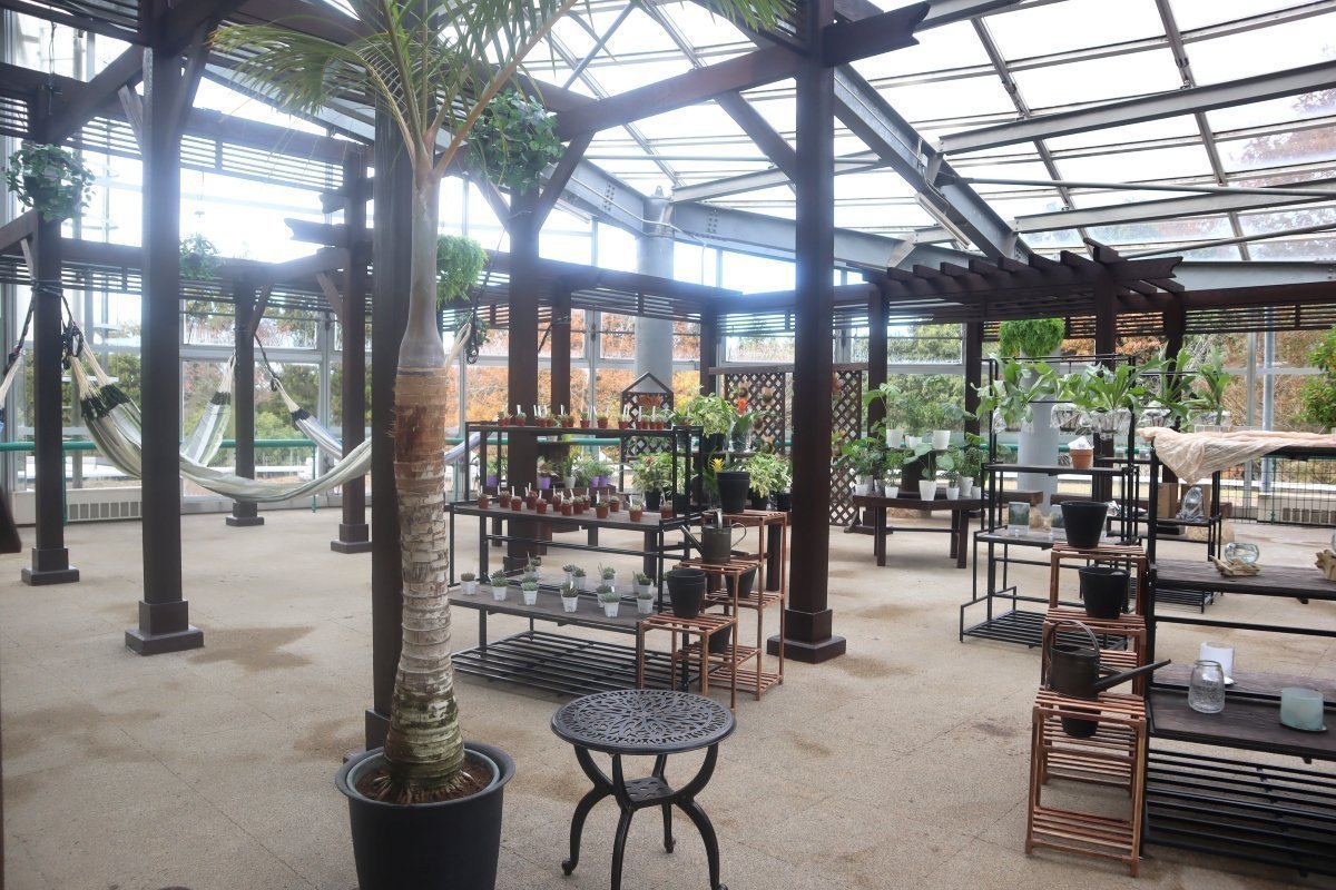 熱帯植物館　植物購入　可能