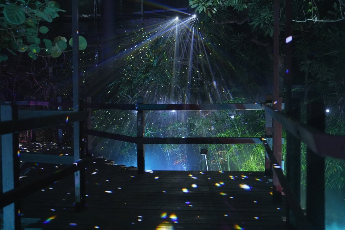 熱帯植物館ライトアップ