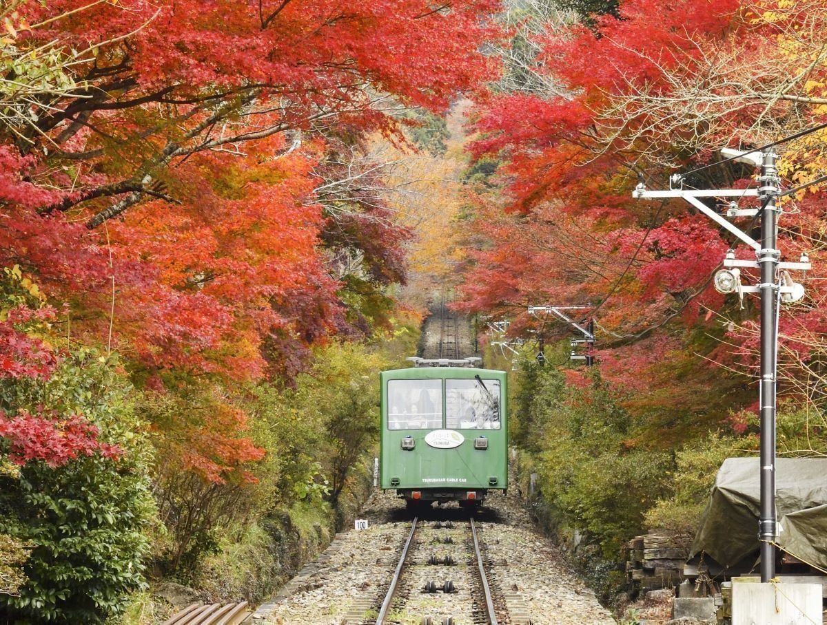 筑波山（茨城の紅葉スポット）｜いばナビ