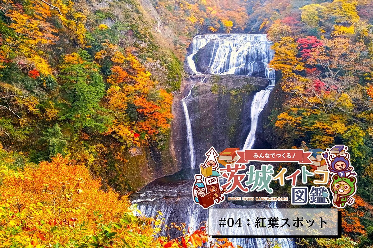 茨城の紅葉スポット｜いばナビ