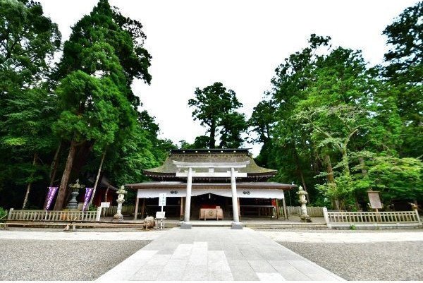 鹿島神宮本殿（茨城県鹿嶋市）｜いばナビ
