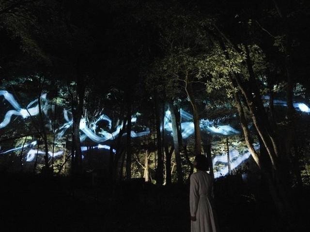 チームラボ 北茨城市 五浦 チームラボ 幽谷隠田跡 源泉かけ流し温泉 コテージ グランピング