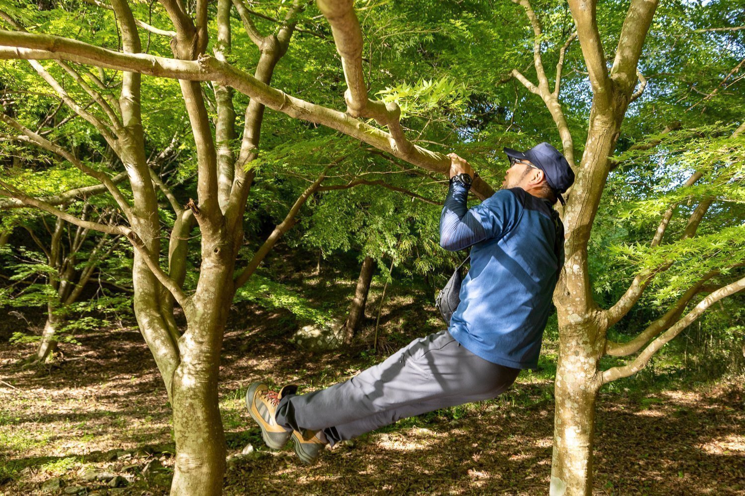 木登り