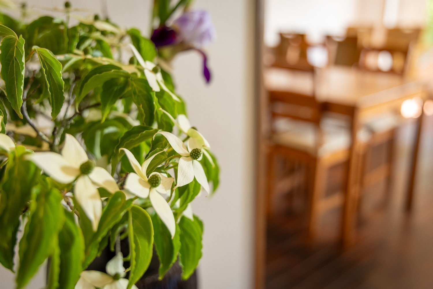 店内に飾られた花