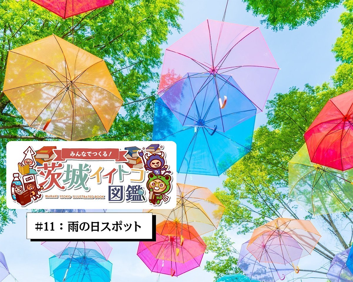 雨の日でも楽しめる！茨城県民が選ぶおでかけスポットランキング★