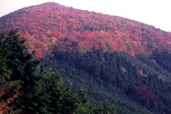 八溝山