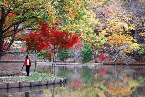 北山公園