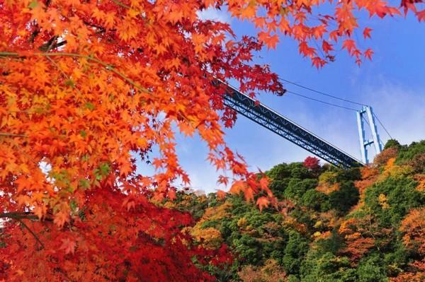 竜神大吊橋