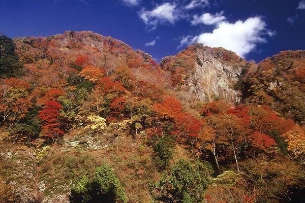 茨城で秋の紅葉狩りを楽しもう♪おすすめ紅葉スポット2025 男体山