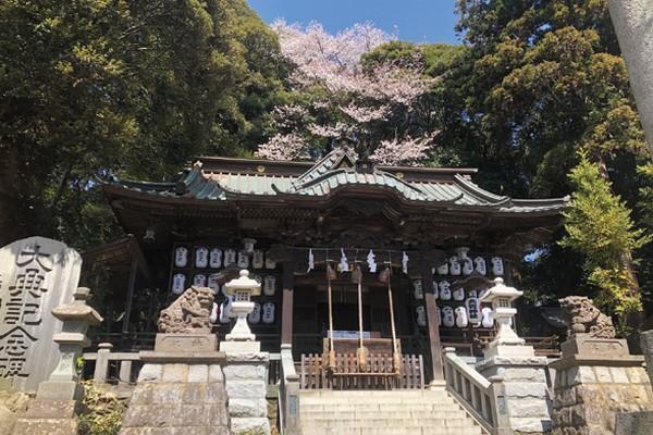 茨城 初詣 大甕神社