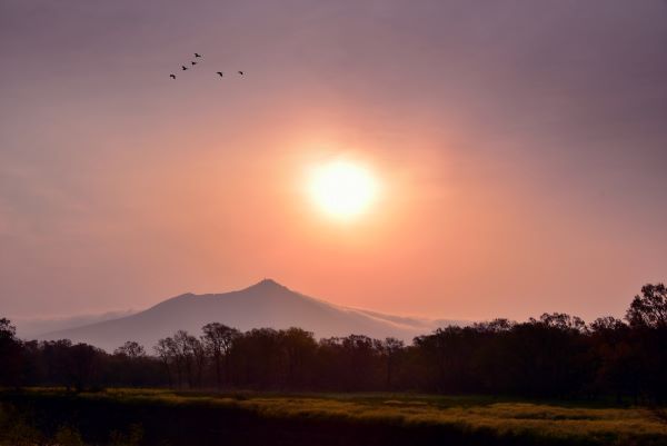 第12回　つくばフォトクラブ写真展
