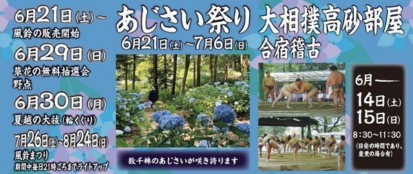 大宝八幡宮 あじさい祭り

