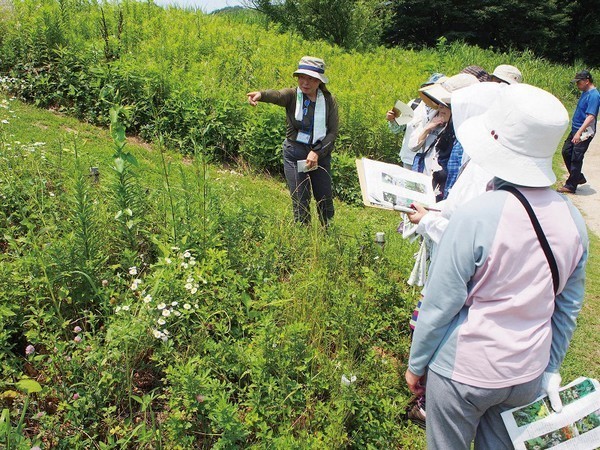 公園の夏を体験しよう！
古河公方公園 夏の植物観察会