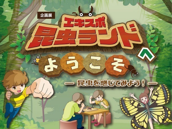 企画展
エキスポ昆虫ランドへようこそ