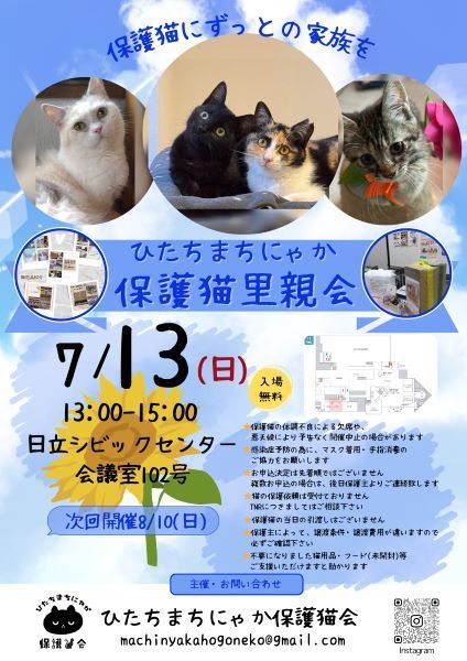 ひたちまちにゃか保護猫里親会
