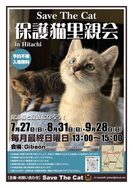 保護猫と家族になろう！　保護猫里親会 in Hitachi