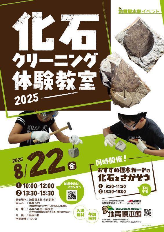 地質標本館 イベント 「化石クリーニング体験教室―2025―」