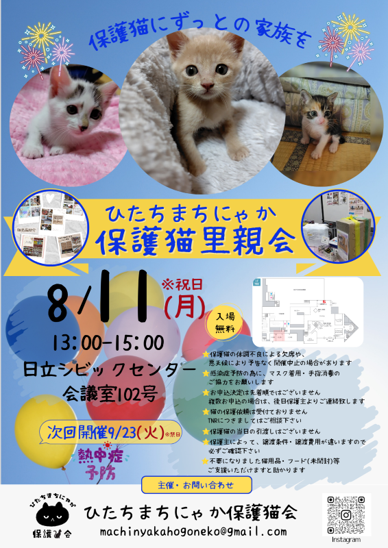 ひたちまちにゃか保護猫里親会