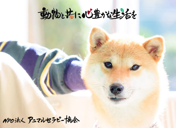 NPO法人アニマルセラピー協会
動物に関する講演会(全4回)