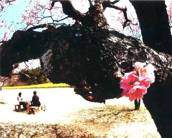 第4回写楽in東海展