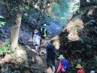 鹿嶋再発見まち歩きツアー
中世の城跡