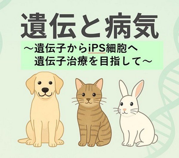 遺伝子と病気
～遺伝子からiPS細胞へ遺伝子治療を目指して！～