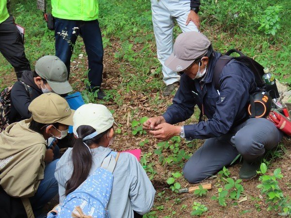 秋の五郎助山で植物観察会開催！
秋の植物観察会