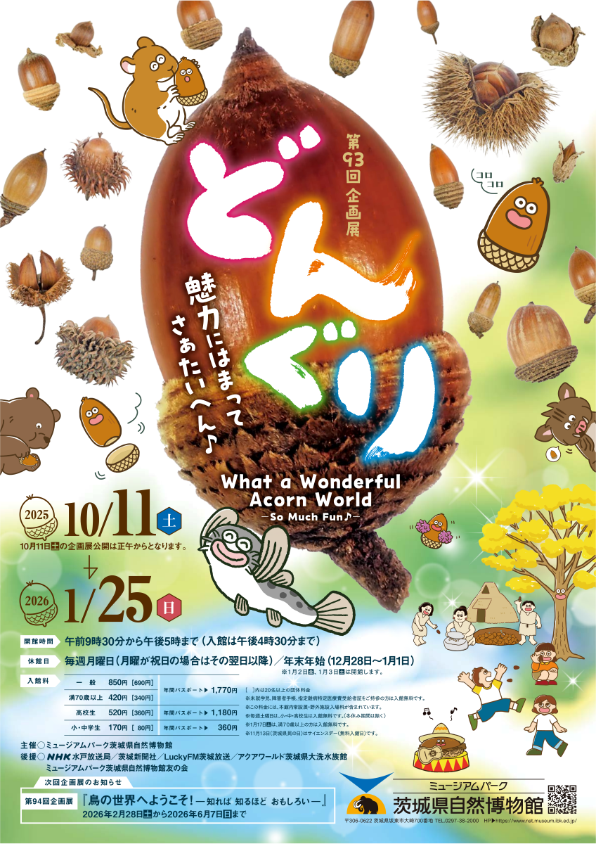 第93回企画展 どんぐり－魅力に はまって さぁたいへん♪－