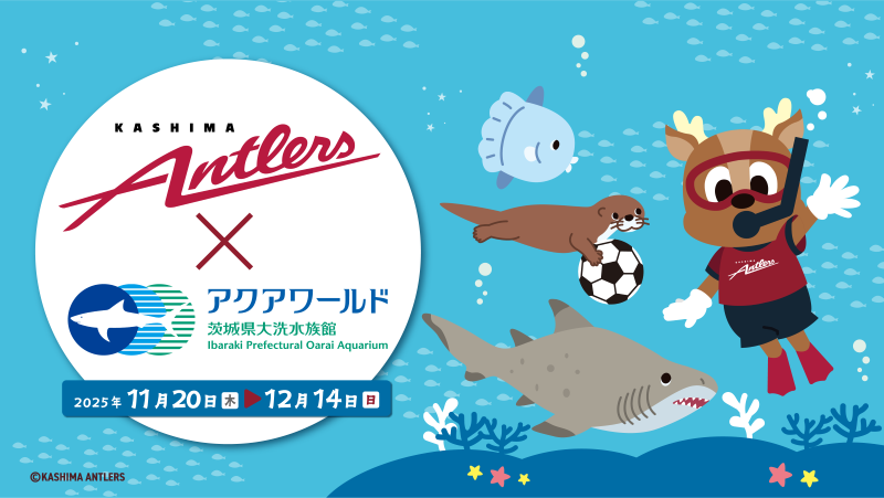 初開催！『鹿島アントラーズ×アクアワールド･大洗』